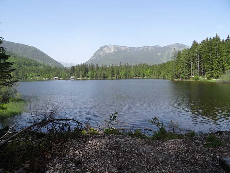 Zinken